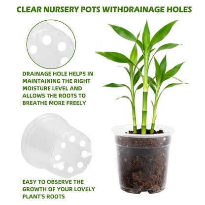 Generic 36 Pack Clear Nursery Pots with Drainage Holes, Transparent Plastic Planters for Indoor and Outdoor Use, 3.5/5/6/7 Inch Seed Starter Pots Flower Pots for Plants