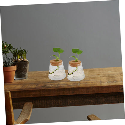 JUMPLAWN 2pcs Hydroponics Glass Planter Stylish Desktop Terrarium for Chic Water-Planting Vase for Indoor Gardening for Plant