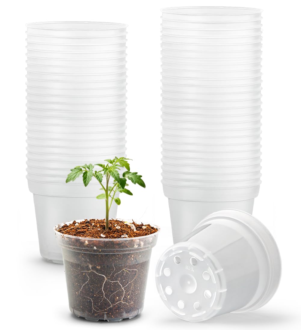 BTPLASTIK 50 Pack 3 Inch Clear Nursery Pots with Drainage Hole, Small Transparent Seed Starter Pots, Sturdy Plastic Plant Pot for Planting Seedlings Vegetables Flowers (3Inch-50P)