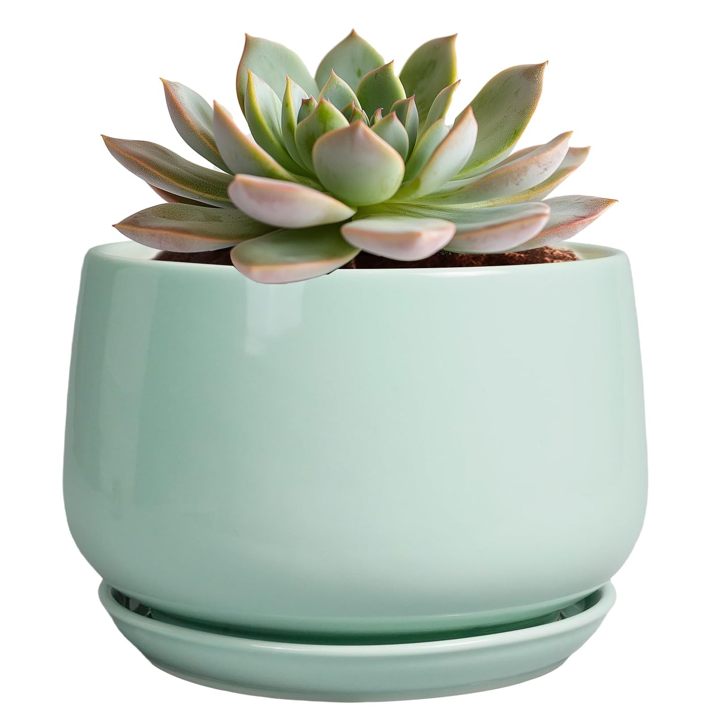 G EPGardening Ceramic Plant Pots - 6 Inch Pot for Plants, Ceramic Planter with Drainage and Saucer, Flower Indoor Outdoor Planter, Modern Bathroom Decor, Birthday Gifts, Green