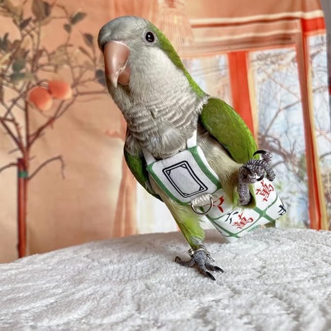 Bird Diaper Harness Flight Suit Clothes, Parrot Flight Suit with Leash for Parrot, Bird Flying Clothes with Rope and Handle for Outdoor Activities Training (Without Leash,Sun Conure)