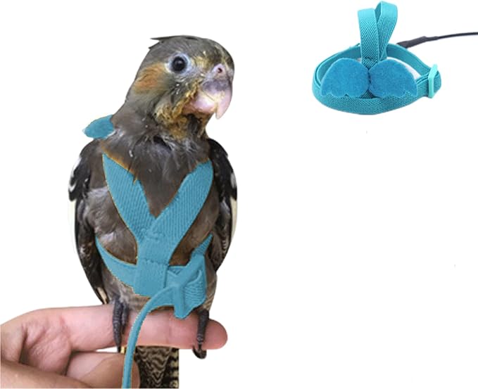 Bird Harness Parrot Leash -Adjustable Outdoor Flying Kit for Parrot Budgie Lovebird Cockatiel Macaw Parakeet (Blue,XL)