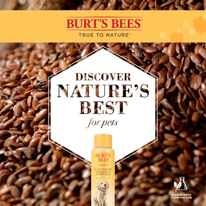 Burt's Bees for Pets Tear Free Puppy Shampoo and Conditioner - Tearless Dog Wash for Puppies, Pet Grooming Supplies, Gentle Dog Shampoo and Conditioner, Puppy Essentials for Easy Groom, 16 Fl Oz