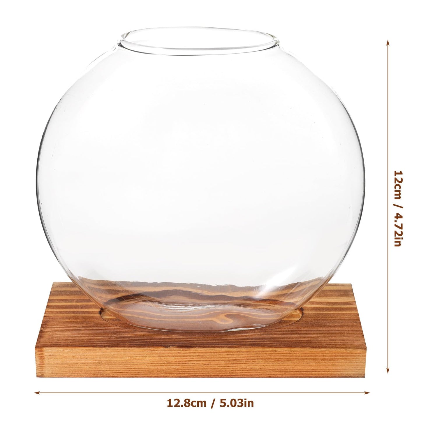 LALADEFIEE Desktop Glass Hydroponic Plant Vase with Retro Wood Base, Scindapsus Aureus Terrarium Planter for Office and Home Décor