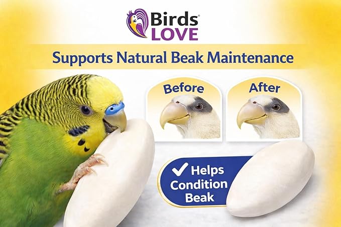 Birds LOVE 3.5-4″ Cuttlebone for Birds – 100% Natural Sun-Dried Calcium & Beak Conditioning Supplement for Parakeets, Budgies, Cockatiels, Finches & Canaries – 2 Pack with Holder – Made in Vietnam