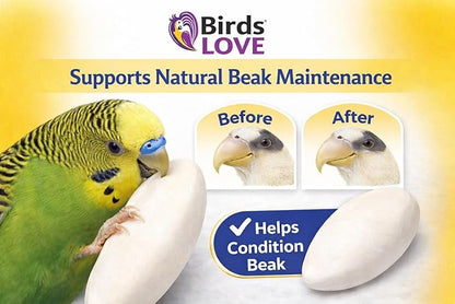 Birds LOVE 5.5-6″ Cuttlebone for Birds – 100% Natural Sun-Dried Calcium & Beak Conditioning Supplement for Parakeets, Budgies, Cockatiels, Finches & Canaries – 12 Pack with Holder – Made in Vietnam