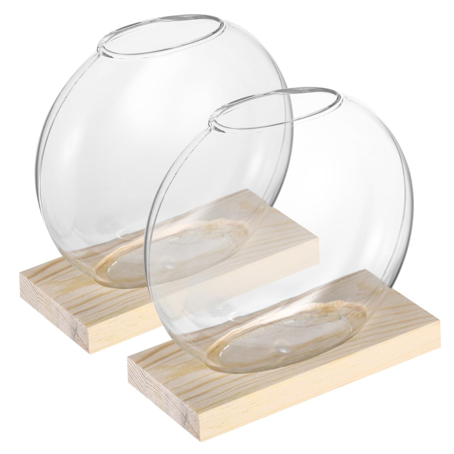 SUPVOX 2sets Glass Plant Wooden Base for Home Decor Indoor Hydroponic Plant Display Elegant Terrarium Design for Office and Wedding Decoration