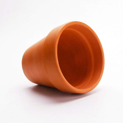T4U 2 Inch Terracotta Clay Pots Pack of 12 - Mini Hand Craft Nursery Plant Pot Succulent Cactus DIY Pottery Planter Home Garden Windowsill Decoration Christmas Gift