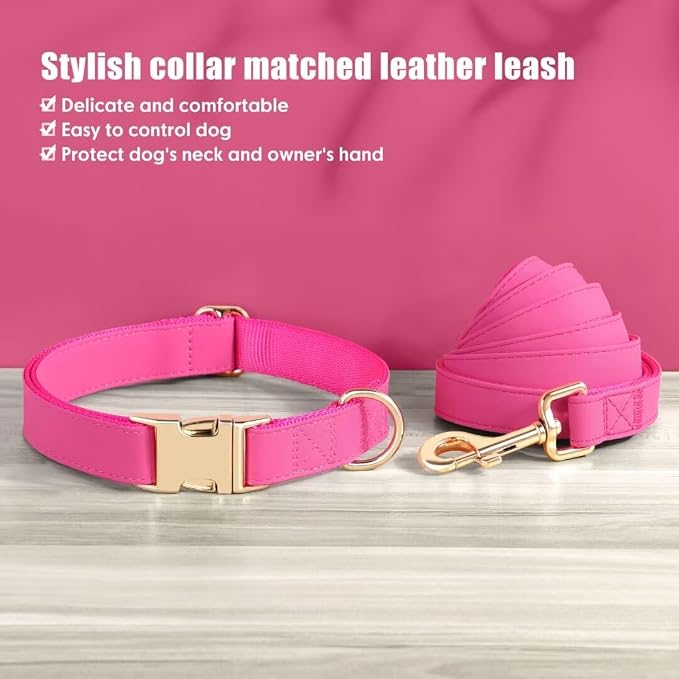 PET ARTIST Soft PU Leather Dog Collar and Leash Set, Bright & Stylish 5FT PU Leather Leash and Collar Set, Durable Pet Collars with Quick Release Metal Buckle for Large Dogs,Hot Pink,L(16-27")