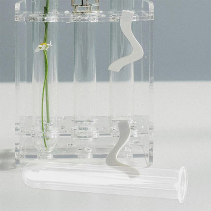 BESPORTBLE 4pcs Glass Test Tube Vase Plant Propagation Tubes Hydroponic Planter Terrariums Desktop Floral for Indoor Plants Home Décor