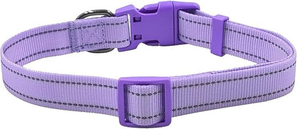 Dog Collar Leash Set,with Relfective Strips,Lilac Purple,Small. | Adjustable Collar,5 ft Matching Leash,Neoprene Padded Handle.