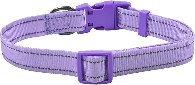 Dog Collar Leash Set,with Relfective Strips,Lilac Purple,Extra Small. | Adjustable Collar,5 ft Matching Leash,Neoprene Padded Handle.