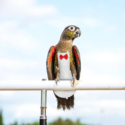 Generic Flight Bird Reusable Diaper Suit for Parrots Material Soft and Design for Outdoor Activities