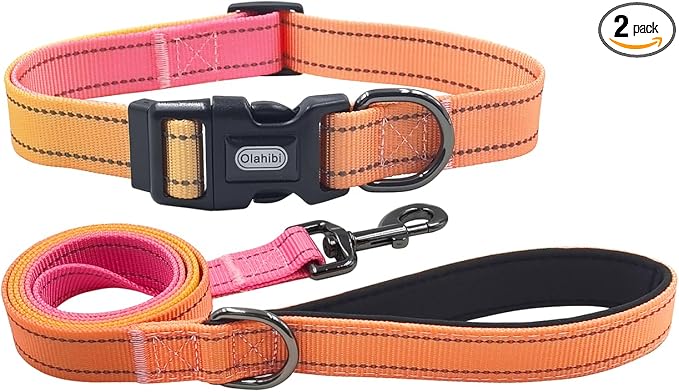 Dog Collar Leash Set, Gradient Color, with Safety Reflective Strips, 5 ft Matching Leash, Neoprene Padded Handle, Adjustable 4 Sizes for Small Medium Large Dogs.(S, Orange Pink)