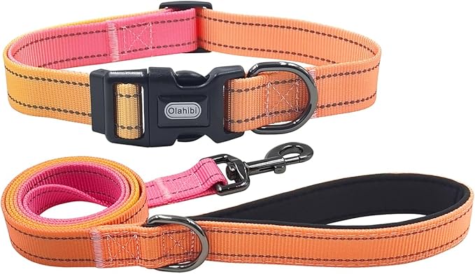 Dog Collar Leash Set, Gradient Color, with Safety Reflective Strips, 5 ft Matching Leash, Neoprene Padded Handle, Adjustable 4 Sizes for Small Medium Large Dogs.(XS, Orange Pink)