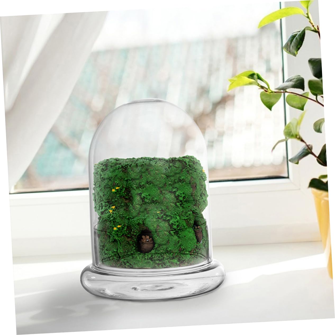 Totority 2pcs Glass Ecological Terrarium Bottle for DIY Micro Landscape Display Decorative Container for Desk Plants and Miniature Gardens
