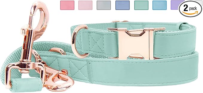 Soft Leather Dog Collar and Leash (6.6') Set - Stylish Rose Gold Heavy Duty Metal Buckle, 4 Adjustable Lengths Leash for Small Medium Large Dogs - Comfortable & Easy to Clean Mint Green M(13.8"-19.7")