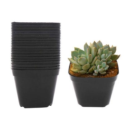 GOETOR 4 Inch Plastic Plant Pots Square Nursery Pot 25 PCS Sturdy & Reusable Starter Container for Starting Seedlings, Succulents,Cuttings & Transplanting with Drainage Holes, Black