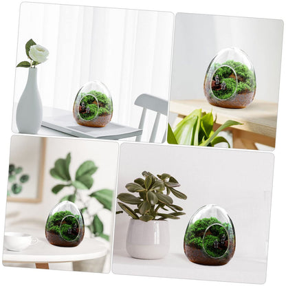 POPETPOP Glass Plant Propagation Station for Home Office Terrarium Supplies Eco Bottle