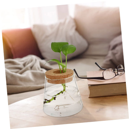 VALICLUD 2Pcs Glass Hydroponic Planter Vases Elegant Desktop Terrarium for Home Decoration Floral Arrangements for Indoor Plants and