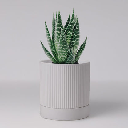 HERDUK Small Plant Pots, 4 Inch Pots for Indoor Plants, Modern Minimalist Ceramic Plant Pots with Drainage Hole & Saucer, White Set of 2