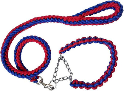 Love Dream Dog Collar and Leash Set, Heavy Duty Nylon Braided Rope Strong 4 FT Dog Leash and Martingale Training Collar for Small Medium Large Dogs Training and Walking (Blue & Red)