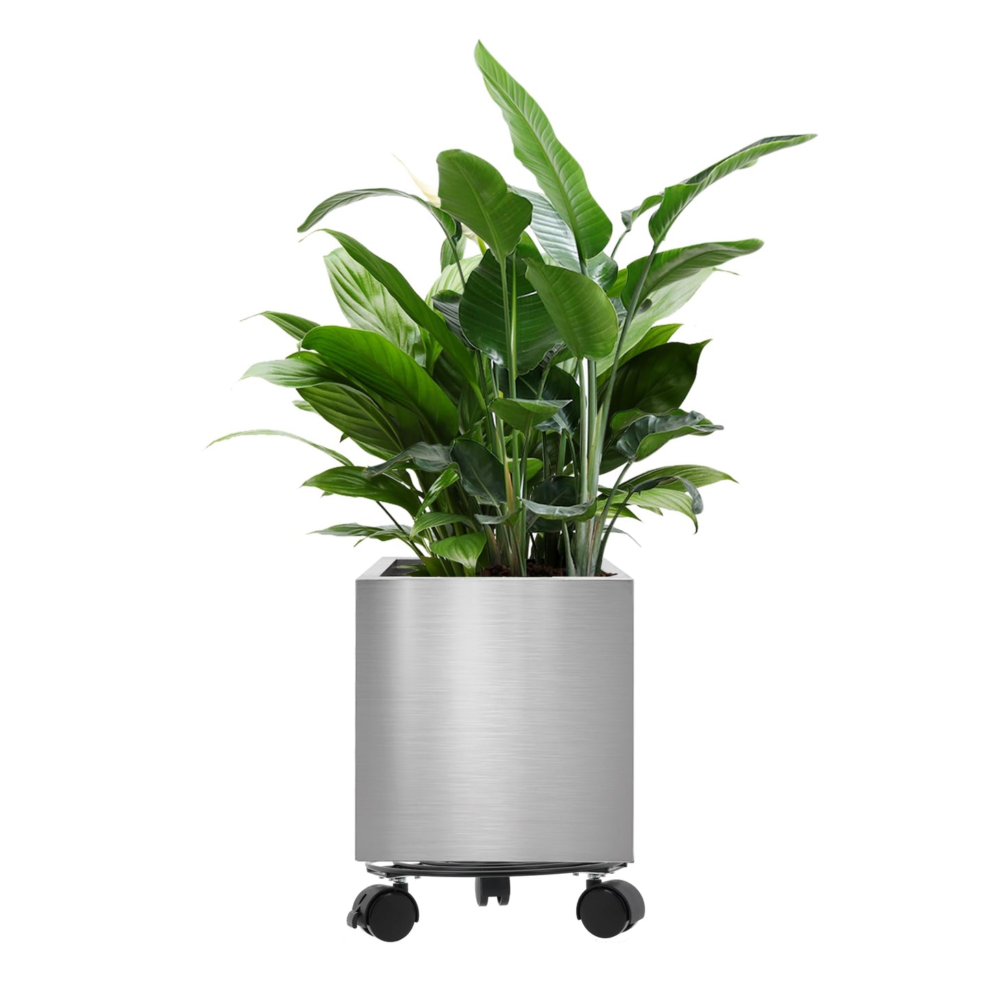 LONGRUNNEW Stainless Steel 30cm Square Planter with Wheels Trolley, Large Plant Pots for Indoor, Outdoor, Business Space, Public Places, Easy to Clean and Move