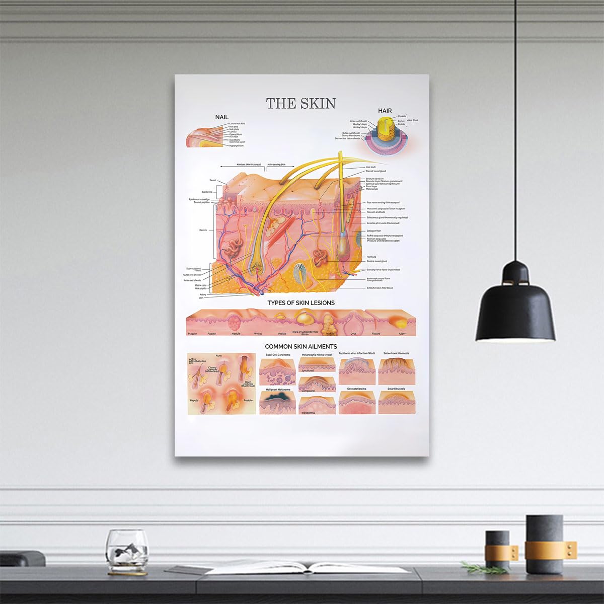 The Skin Anatomical Chart Poster – Dermatology Wall Art Aesthetician & Skincare Studio Decor Printable Educational Chart 16x24in Unframed