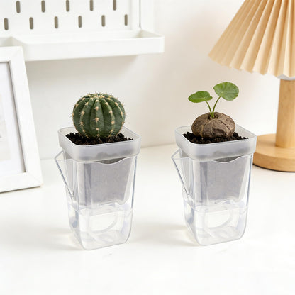 Uprony 10 Pack 2.5" Self Watering Pots for Indoor Plants, Mini Clear Plastic Planters Water Level Indicator, with Drainage Holes, Cuttings, Seedlings, Herbs, African Violets