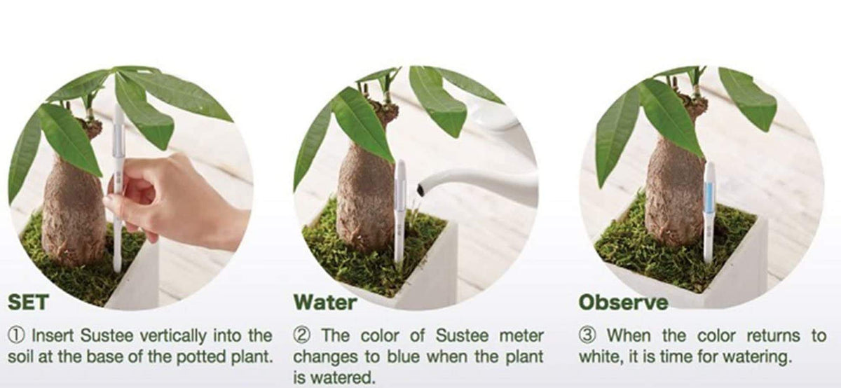 IPPINKA Sustee Aquameter, White, Small, Bundle of 12, Soil Moisture Meter for Potted Plants - Plant Water Sensor (Refillable Style)