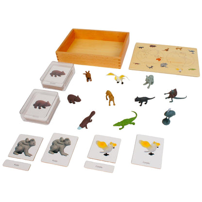ancona Australian Animals, Spanish/English Bilingual, Montessori Preschool Memory Matching Game Box Set with Animal Figurines & 3-Part Cards, Early Education Toy