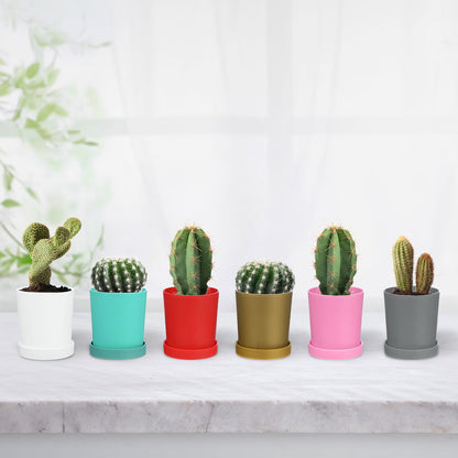M METERXITY 2-Pack Plant Pots, 4.5 Inch Plastic Flower Pots with Drainage Holes for Cactus/Succulents Pot/Small Plants/Home/Garden, Planters for Indoor Plants [Red]
