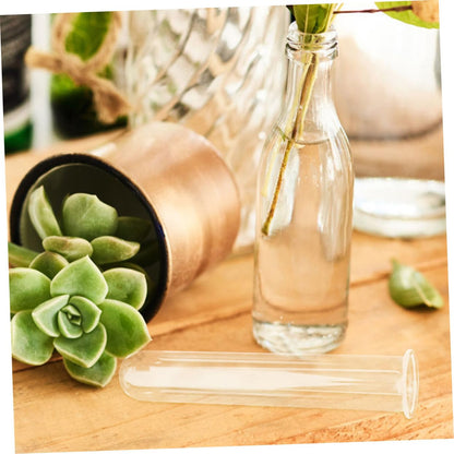 Alipis 5pcs Hydroponic Glass Test Tube Vases for Plant Propagation Transparent Glass Plant Vases for Home and Office Decor Sturdy Wear Floral Water Tubes Multi Use Desk Terrarium