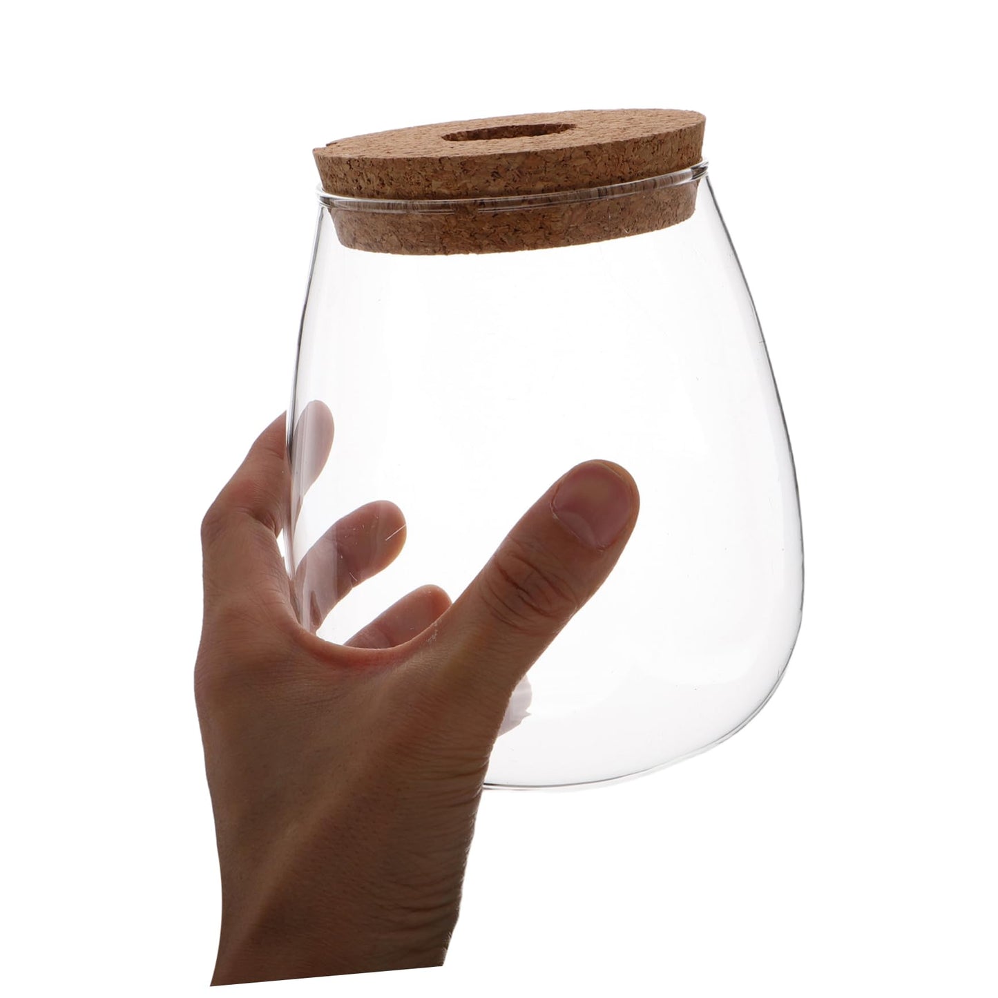 CIYODO Elegant Hydroponic Glass Vase for Indoor Plant Propagation Space Saving Terrarium for Home Decoration Minimal Maintenance Design for Plants