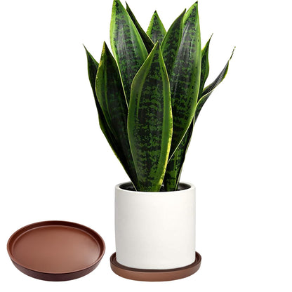 2 Pack Ceramic Plant Saucer Pot Tray 6 Inch, Planter Saucers 4 5 6 7 8 9 10 11 12 13 Inch for Indoors Outdoor, Durable Sturdy Flower Drainage drip Water Tray for Glazed Pots Base (6.4 Inch-Brown)