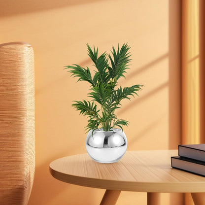 BESPORTBLE 2pcs Silver Round Glass Vase Set – Modern Sphere Flower Holder for Hydroponic Plants, Small Air Terrarium Centerpiece for Home and Office Tables