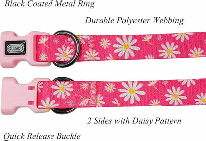 Dog Collar Leash Set, Floral Pattern, Polyester Material, Adjustable Collar and 5ft Matching Leash, for Small Dogs.(S, Pink Daisy)