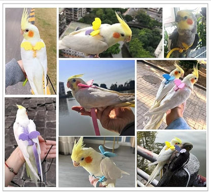 Parrot Harness and Leash Set - Elastic Rope with Blue Adjustable Harness Cute Wing, Suitable for Medium Size Bird Like Small Red-Breasted Parakeet, Caique, Mini Macaw