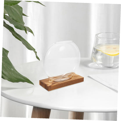 HOOWIFFY 2pcs Glass Hydroponic Planter Vase with Wooden Stand, Indoor Plant Terrarium for Propagation and Home Office Decor