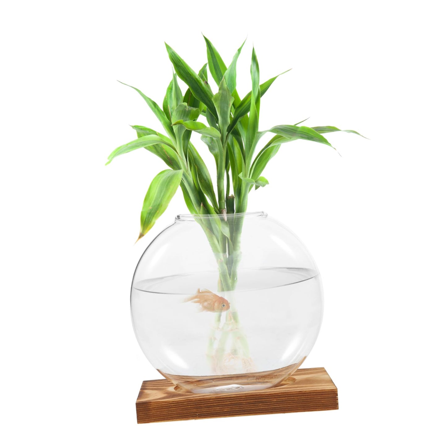 Kisangel Hydroponic Propagation Vase with Wooden Base Small Glass Terrarium Planter for Indoor Plants Decorative Desktop Garden Home Office Tea Ceremony Decor