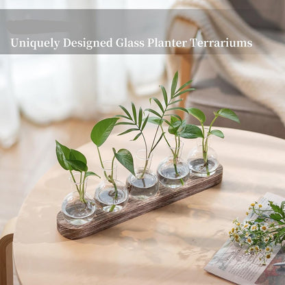 Beranosoer Propagation Station Glass Vases Decoration: 5 Plants Terrarium with White Washed Wooden Tray for Living Room
