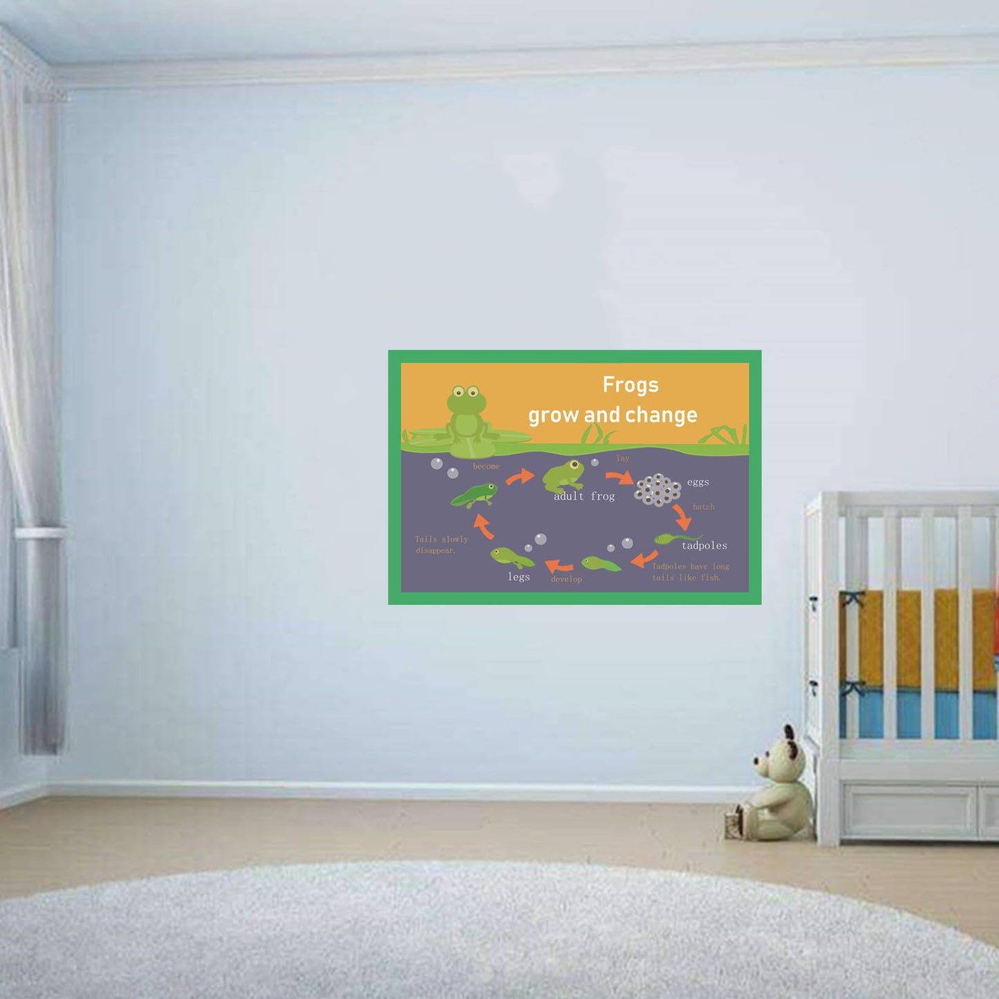Frogs grow and change Mind Mapping| Educational Posters for Toddlers and Kids | English Teaching Aid Tool| Handy Wall English Charts Reference for Students| Great for School Classroom Décor(17x24in)
