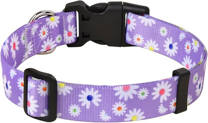 MarukoPet Dog Collar, Adjustable for Small Medium Large Dogs Puppy, Cute Design with Bohemia Floral Tribal Geometric Patterns Boys Girls Dog Collar(Purple Daisy-S)