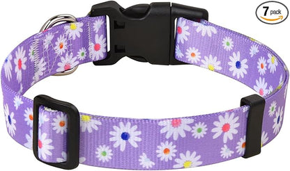 MarukoPet Dog Collar, Adjustable for Small Medium Large Dogs Puppy, Cute Design with Bohemia Floral Tribal Geometric Patterns Boys Girls Dog Collar(Purple Daisy-XS)