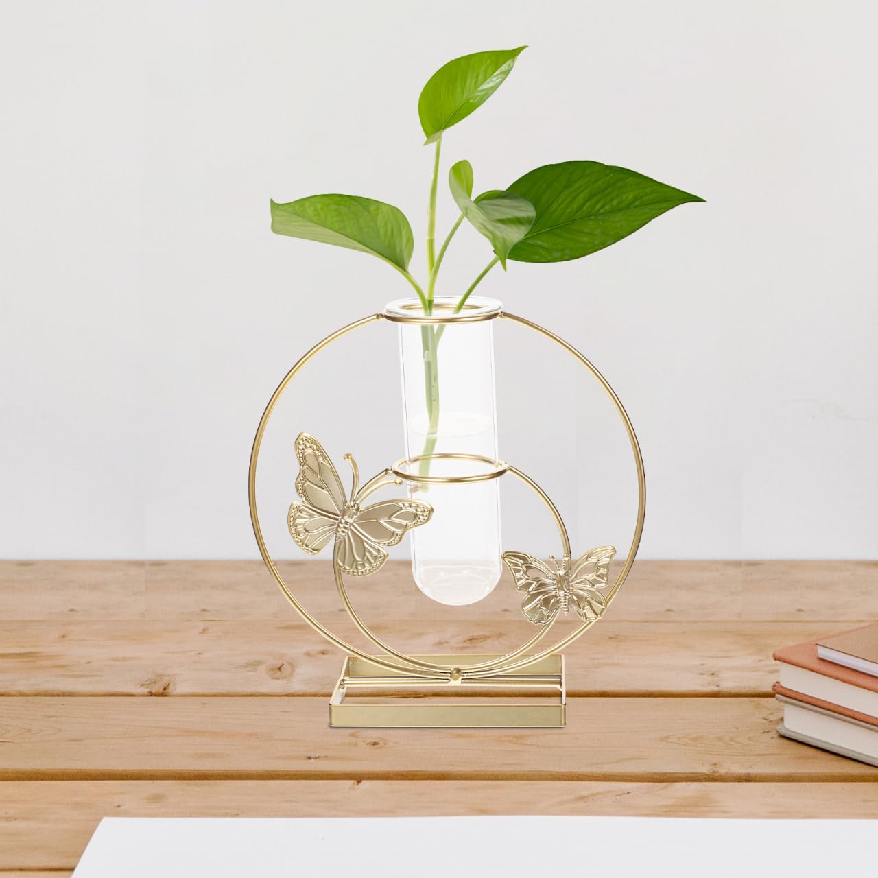 RORPOIR Hydroponic Flower Pot Clear Glass Vase with Butterfly Pattern 8.26X7.87X2.95In Decorative Desktop Planter for Home Wedding Party Centerpiece