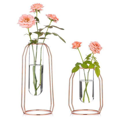 Vases Set of 2 Glass Vases with Metal Frame, Modern Rose Gold Frame Cylinder Clear Vase Planter Terrariums, Flower Holder Decorations for Wedding Living Room, Office, Party (Rose Gold, S+L)