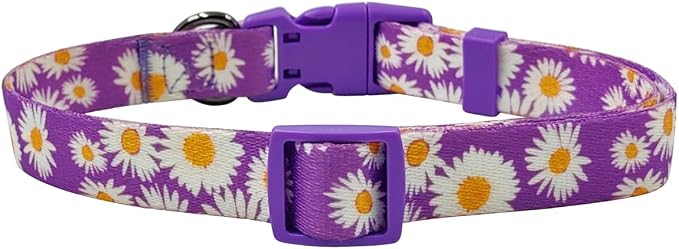 Dog Collar and Leash Set, Cute Daisy Pattern, Polyester Material, 5ft Leash, for Large Dogs.(Large,Purple Daisy)