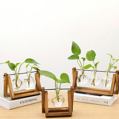 Cabilock Glass Hydroponic Vase Planter with Wooden Stand, Desktop Decorative Green Plant Container for Home and Office Flower Arrangement