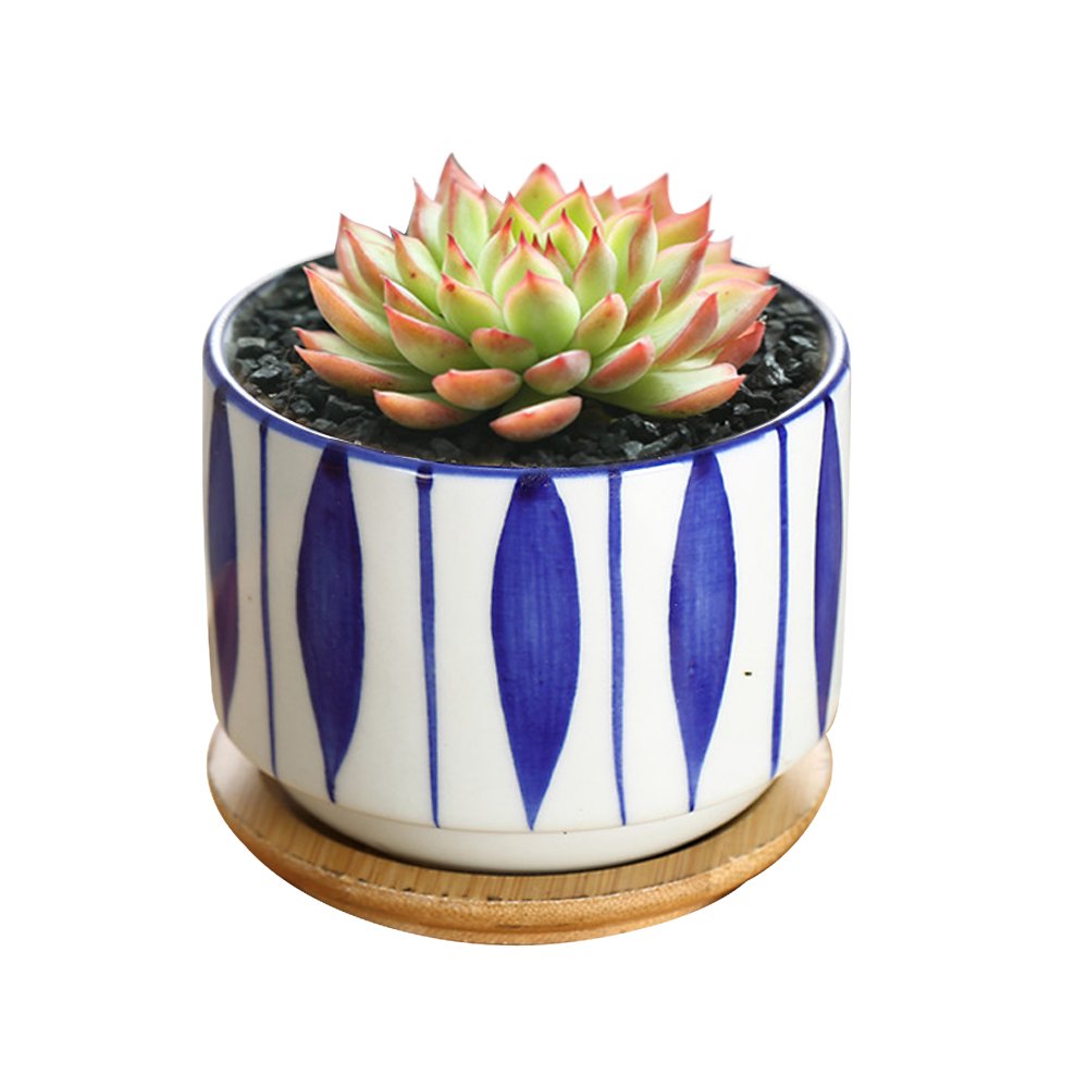 GeLive 3 Inch Ceramic Succulent Planter, Cactus Plant Pot, Flower Container with Bamboo Drip Tray, Indoor Outdoor, Set of 2 (Wave and Blue Flower)