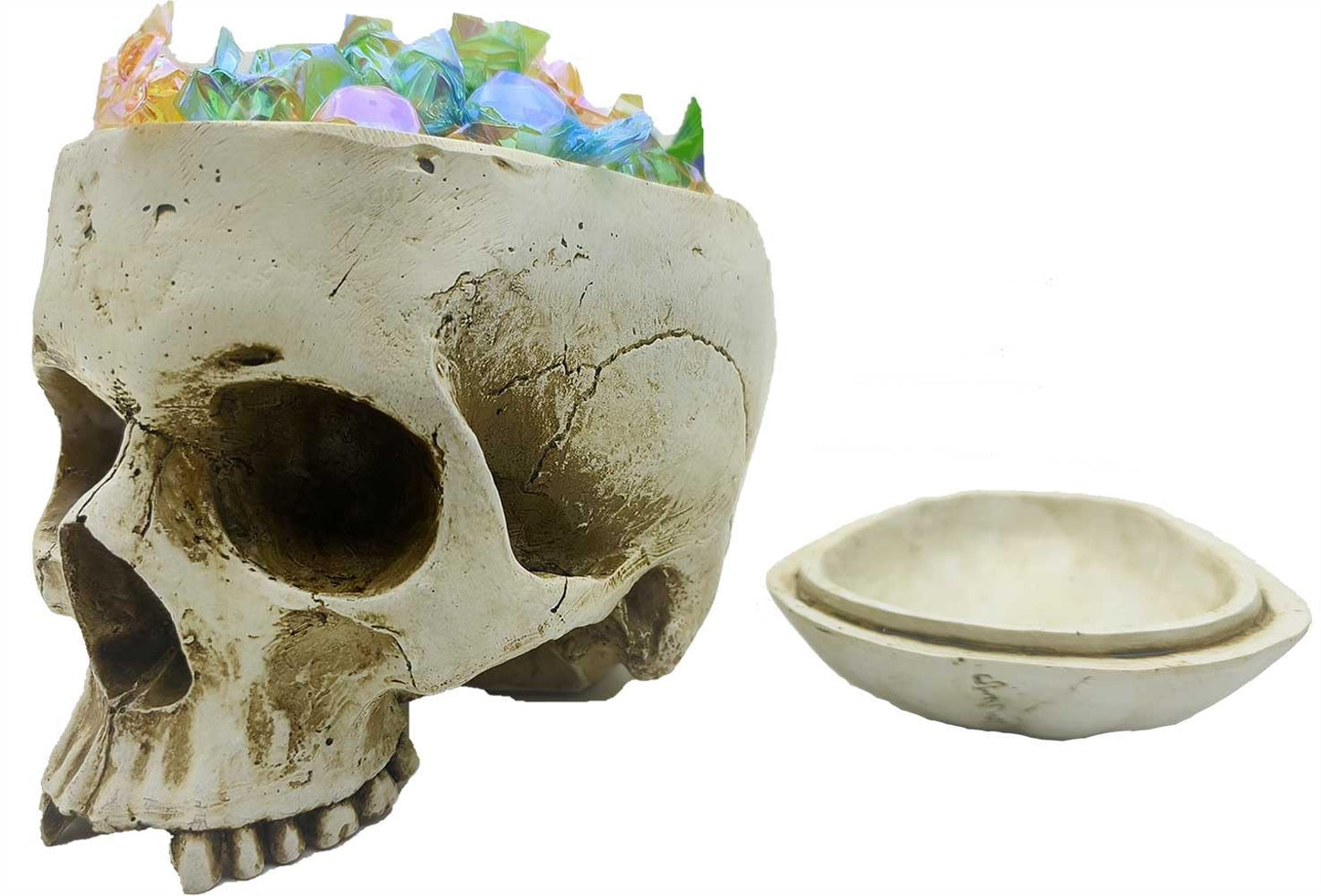 CUZOKOLA Larger 6.9" Human Skull Candy Dish with Lid,Big Skull Candy Jar,Skull Head Decor Statue Resin Mold for Halloween Skull Candy Bowl,Skull Home Decoration,White Skull Skeleton Bowl Sculpture